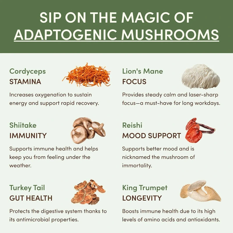 RYZE Ritual Set (Matcha + Coffee) - Image 3