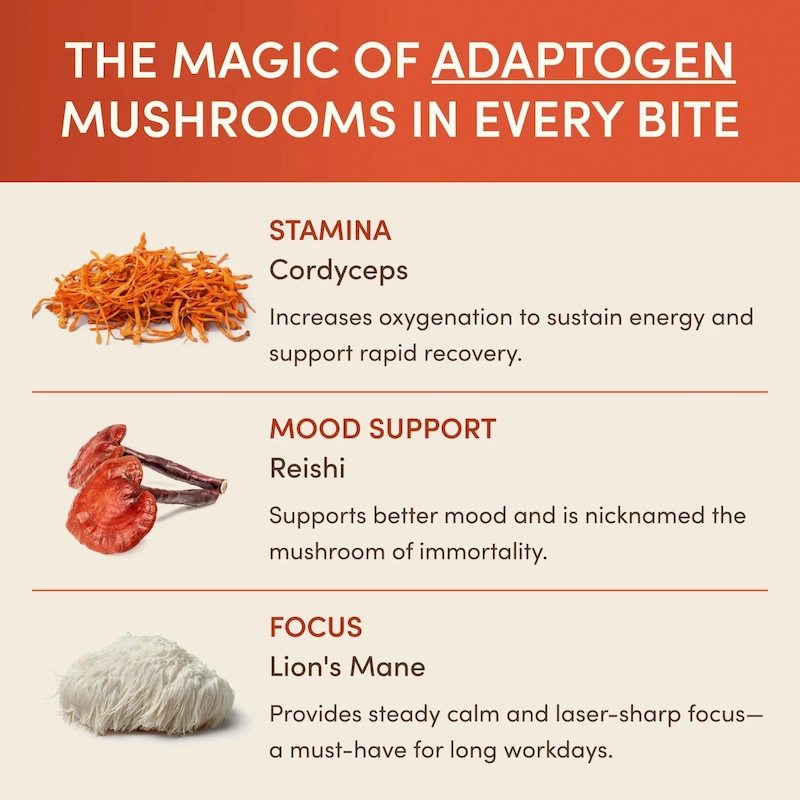 Chocolate Indulgence Bundle - Image 5