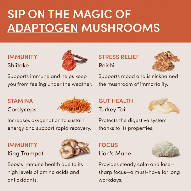 RYZE Ritual Set (Matcha + Coffee) Rebill - Image 7