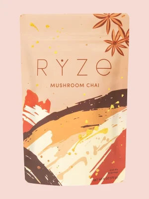 Mushroom Chai (1 Pack - 20 Servings)