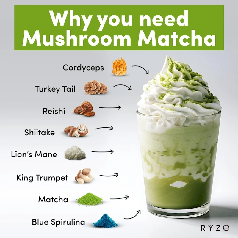 RYZE Organic Mushroom Matcha Starter Kit (60 servings) - Image 4